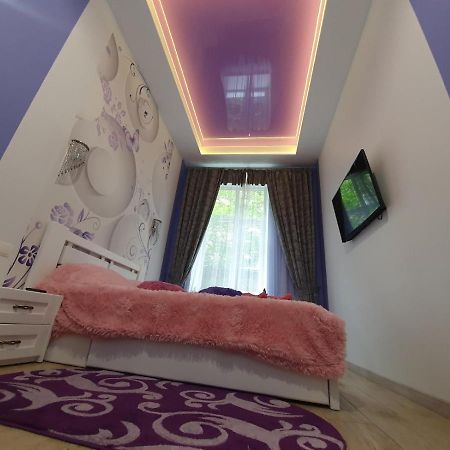 Romantik Eko Apartment 利沃夫 外观 照片