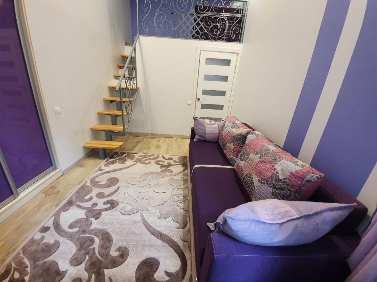 Romantik Eko Apartment 利沃夫 外观 照片