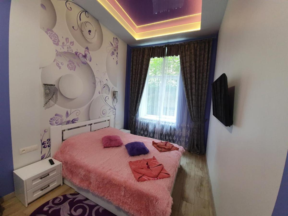 Romantik Eko Apartment 利沃夫 外观 照片