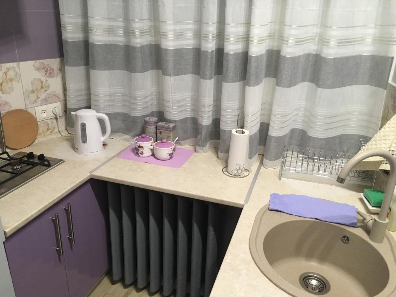Romantik Eko Apartment 利沃夫 外观 照片