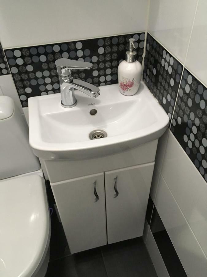 Romantik Eko Apartment 利沃夫 外观 照片